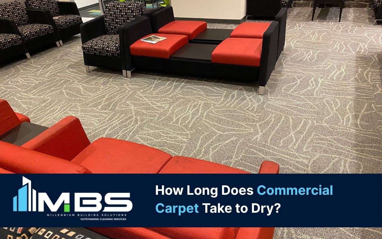 How Long Does Commercial Carpet Take to Dry? Variables and Tips