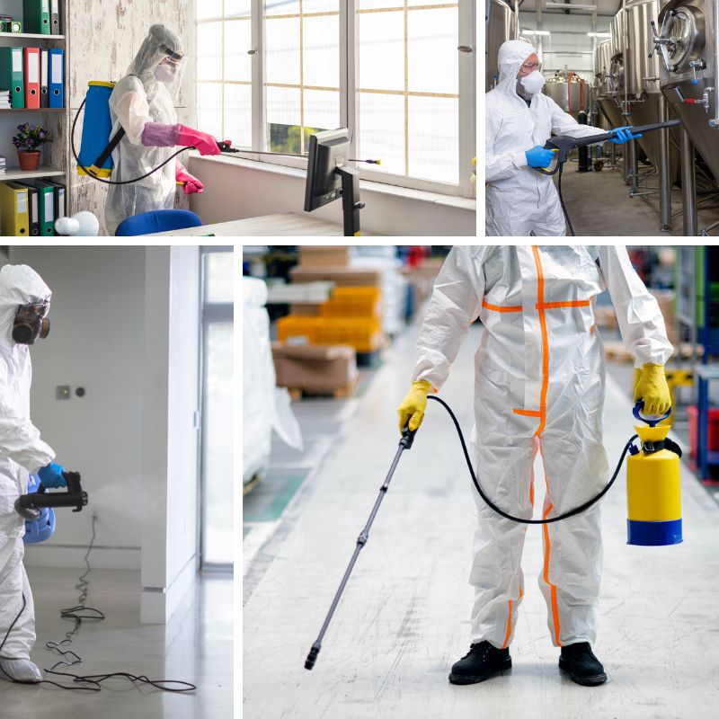 Technician using a touchpoint disinfection checklist in an office environment
