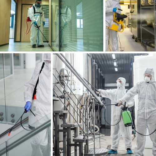 Professional commercial disinfection services cleaning an office workspace