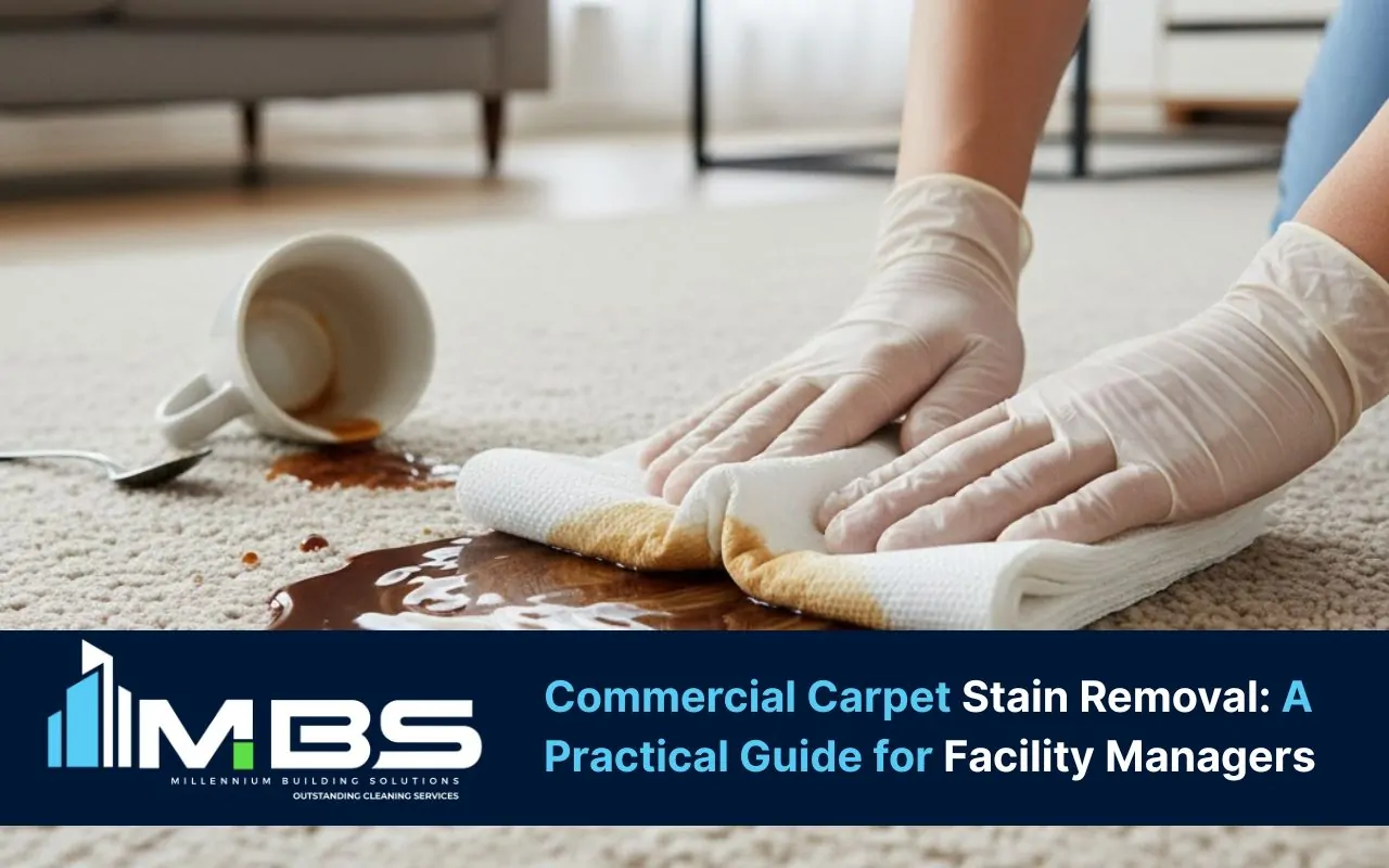 Coffee stain pre-treat steps in the Carpet Stain Removal Guide